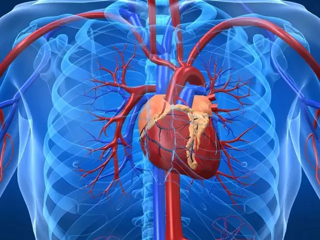Ćwiczenia zwiększające potencję są przeciwwskazane w przypadku chorób serca